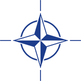 Computer-Adaptive Placement Assessment and Support System