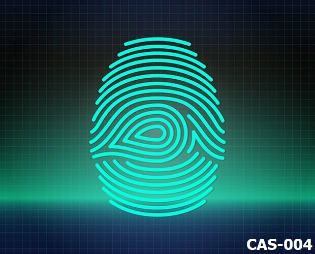 CAS-004: CompTIA Advanced Security Practitioner (CASP+) CAS-004 Training Course