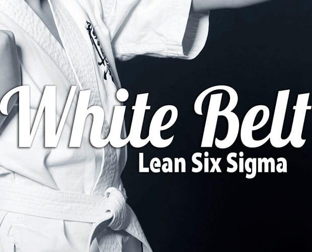 Learning Six Sigma: White Belt Training Course