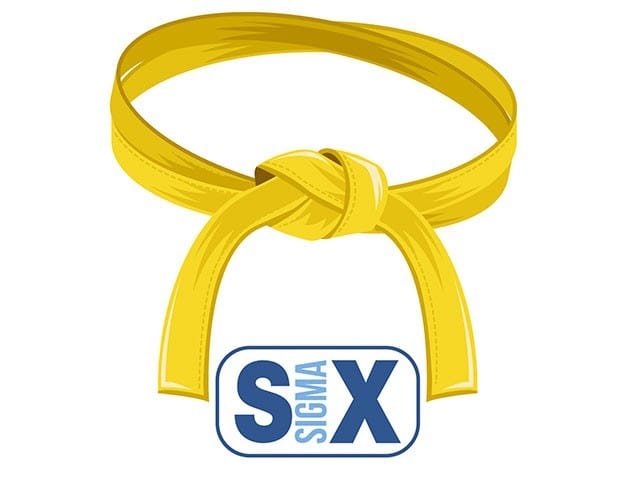 Lean Six Sigma Training: Yellow Belt Training Course