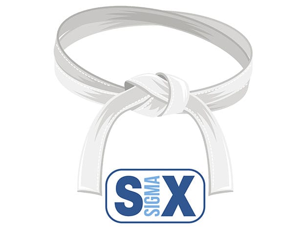 Lean Six Sigma Training: White Belt Training Course