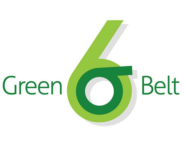 Lean Six Sigma Training: Green Belt Training Course